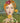 Oranges Are Not the Only Fruit by Winterson, Jeanette