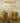 Wisdom from the Hidden Life of Trees by Wohlleben, Peter