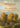 Wisdom from the Hidden Life of Trees by Wohlleben, Peter