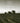 Whose Names Are Unknown by Babb, Sanora
