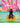 Saltwater by Hays, Katy
