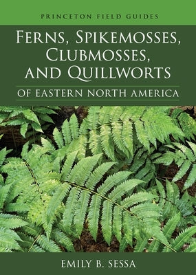 Ferns, Spikemosses, Clubmosses, and Quillworts of Eastern North America by Sessa, Emily