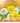 Tending Dandelions: Honest Meditations for Mothers with Addicted Children by Swenson, Sandra
