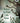 Where the Wind Calls Home by Yazbek, Samar
