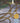 The Line of Beauty by Hollinghurst, Alan
