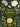 Floral Folklore: The Forgotten Tales Behind Nature's Most Enchanting Plants by Davies, Alison